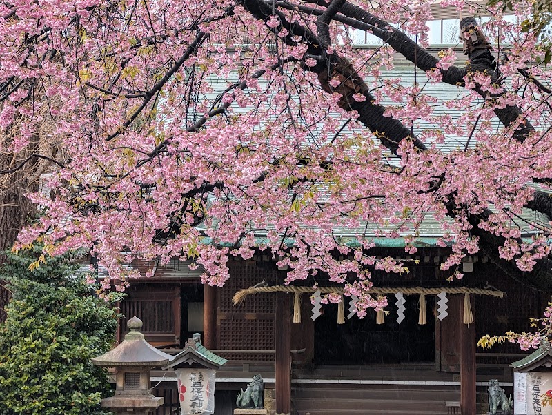 Parc d'Ueno – 4 Uenokoen, Taito City, Tokyo 110-0007, Japan (photo 2)