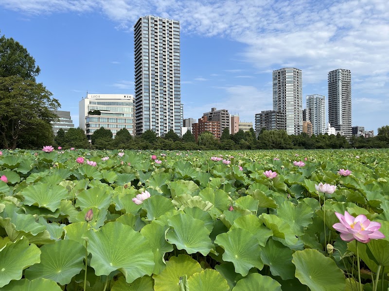 Parc d'Ueno – 4 Uenokoen, Taito City, Tokyo 110-0007, Japan (photo 3)