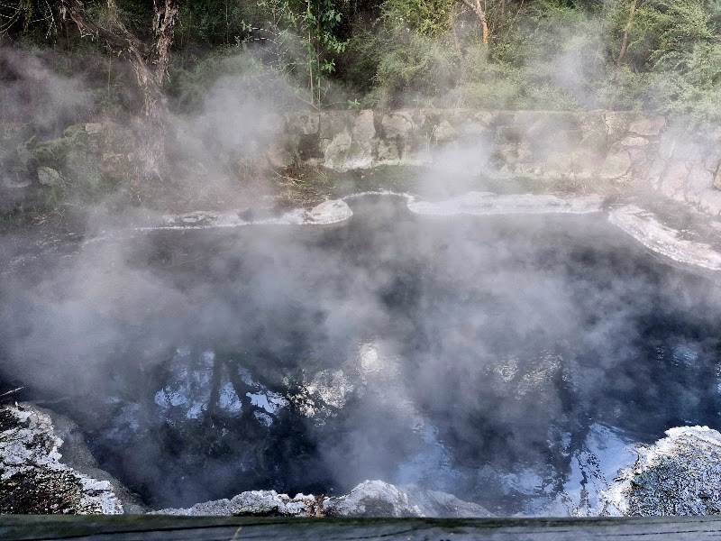 Parc Kuirau – Kuirau Park, Rotorua, Nouvelle-Zélande (photo 3)