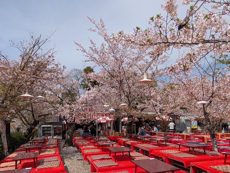 Parc Maruyama – Maruyamacho, Higashiyama Ward, Kyoto, 605-0071, Japan (photo 2)