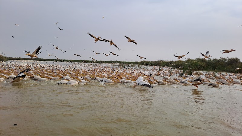 Parc national des oiseaux du Djoudj : pirogue, observation et déjeuner – Saint-Louis, Sénégal (photo 3)