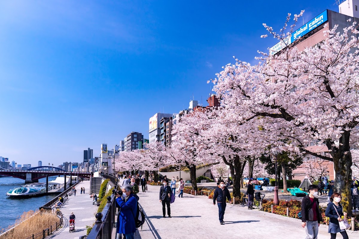 Parc Sumida – 1 Chome-1 Hanakawado, Taito City, Tokyo 111-0033, Japan (photo 1)
