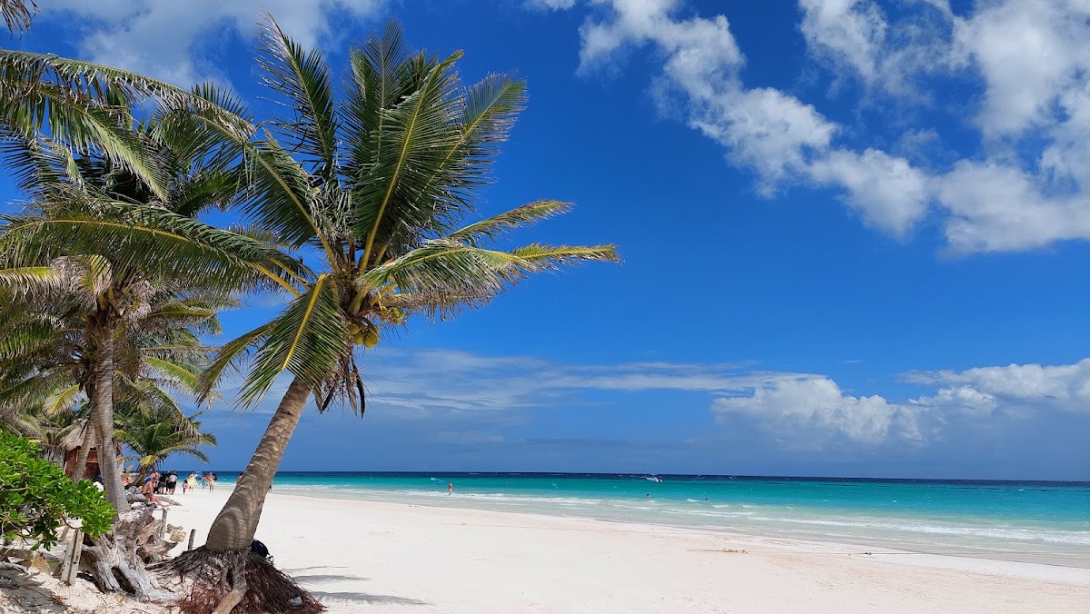 Playa Paraíso – Playa Paraíso, Tulum, Quintana Roo, Mexique (photo 1)