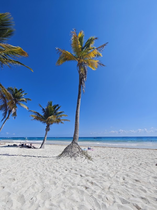 Playa Paraíso – Playa Paraíso, Tulum, Quintana Roo, Mexique (photo 3)