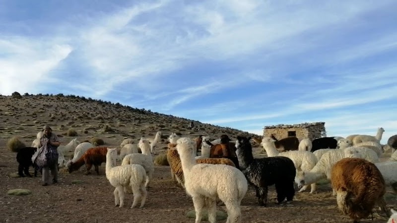 Plaza Arce et centre d'Uyuni – Plaza Arce, Uyuni, Bolivie (photo 3)