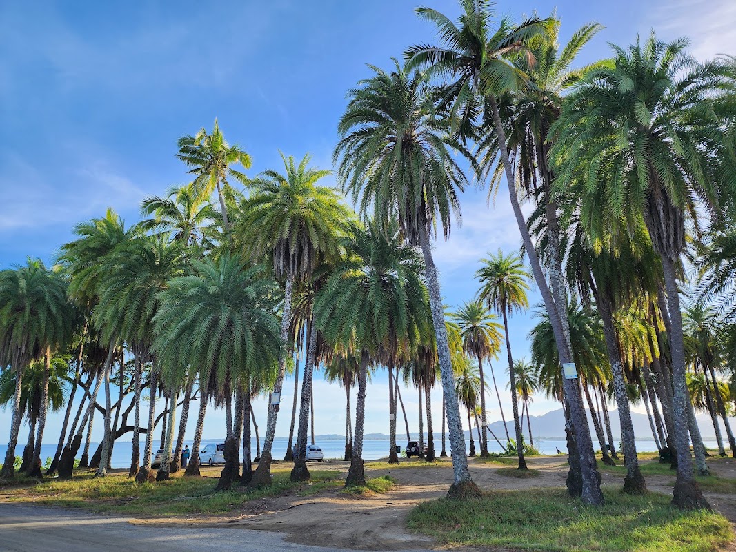 Promenade du soir sur la plage de Wailoaloa – Plage de Wailoaloa, Nadi, Fidji (photo 1)