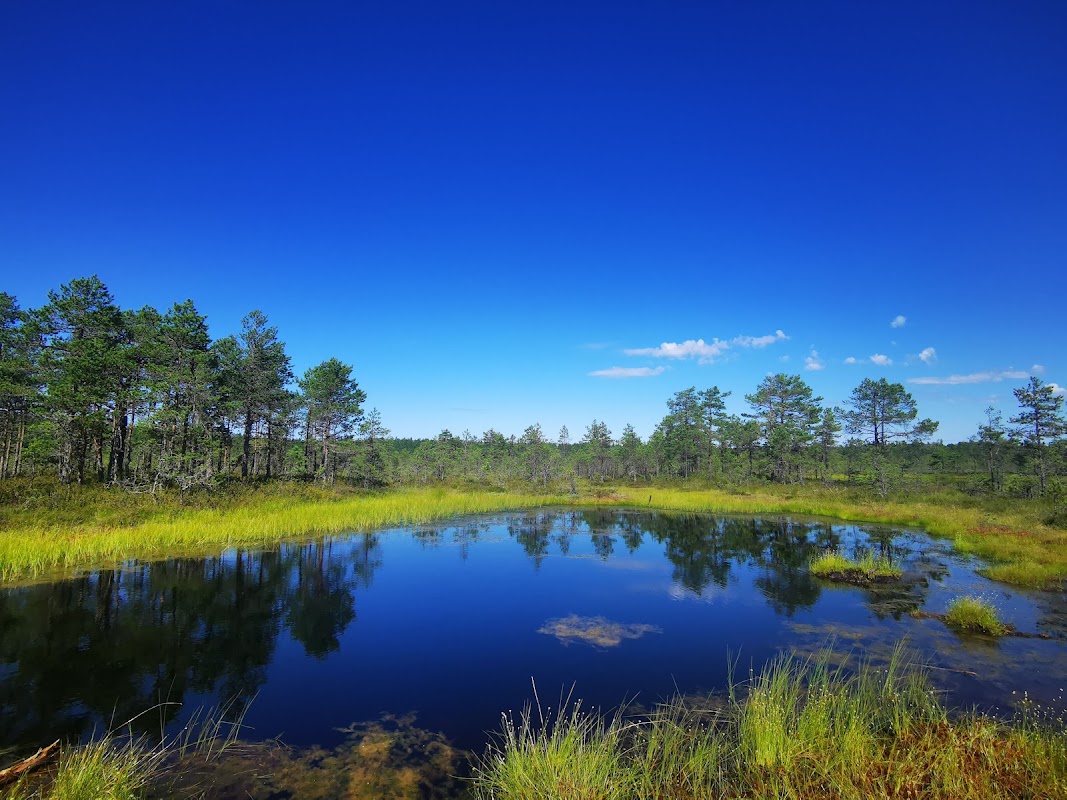 Sagadi et Altja à vélo – Palmse, parc national de Lahemaa, Estonie (photo 1)