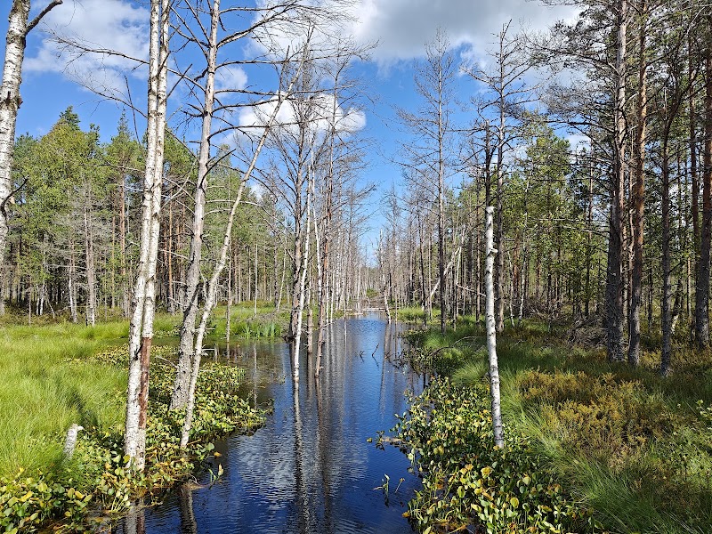 Sagadi et Altja à vélo – Palmse, parc national de Lahemaa, Estonie (photo 2)