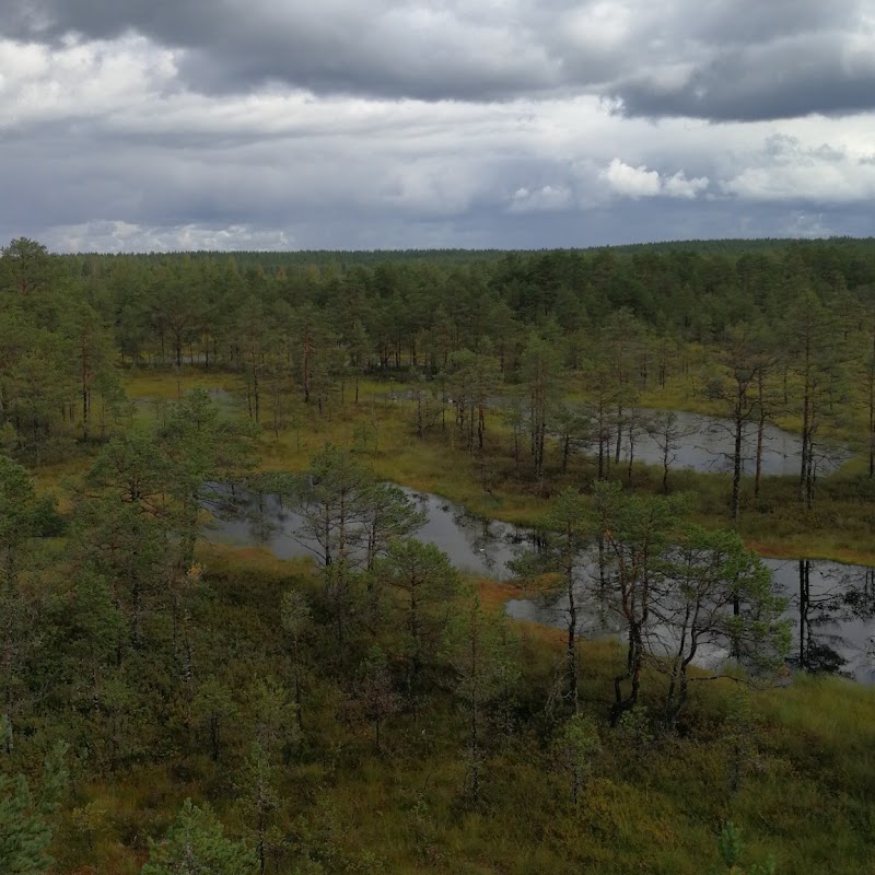 Sagadi et Altja à vélo – Palmse, parc national de Lahemaa, Estonie (photo 3)