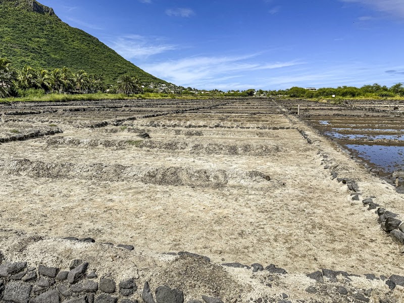 Salines de Yemen à Tamarin – Salines de Yemen à Tamarin, côte ouest, Rivière Noire, Maurice (coordonnées OpenStreetMap -20.33195, 57.37742) (photo 2)