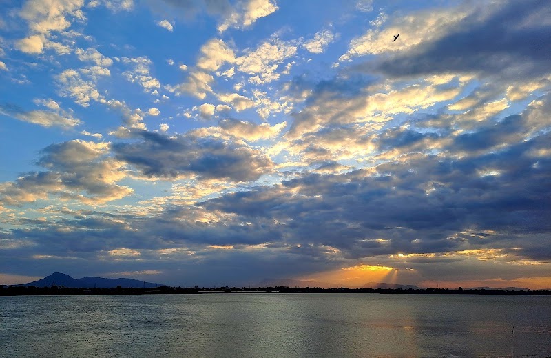 Samlee's Garden – Mekong Riverside, Pakse, Laos (photo 3)
