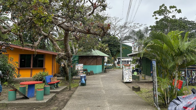 Soda D'Leite – 70205 Limón Tortuguero, Limón, Tortuguero, 70205, Costa Rica (photo 3)