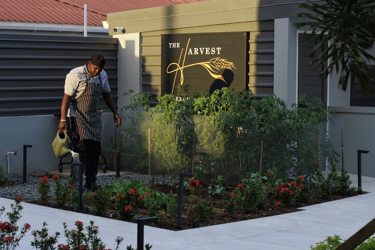 The Harvest and Table Restaurant – Rodney Bay, Gros Islet, Sainte-Lucie (photo 1)
