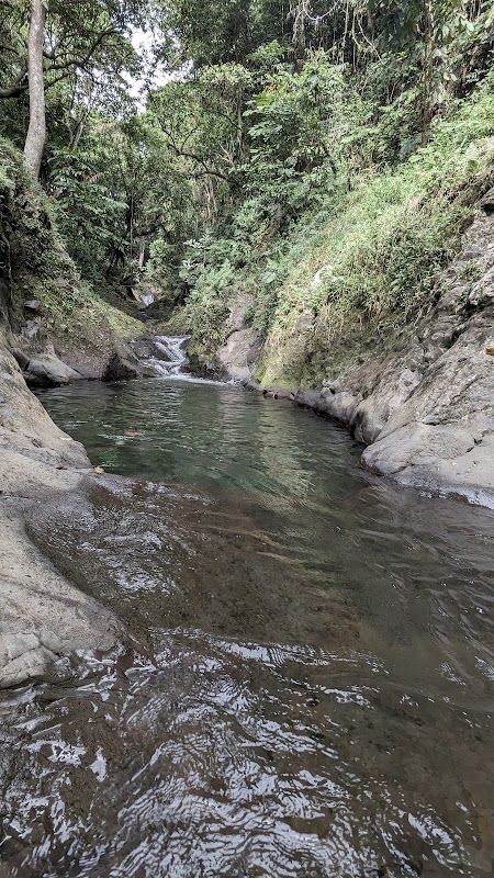 Toboggans naturels de Waitavala – Waitavala, Waiyevo, Taveuni, Fidji (photo 1)