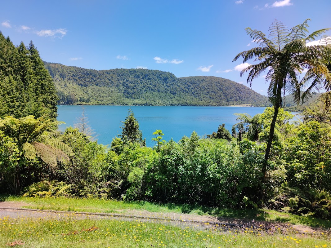 Tour du lac Bleu – Blue Lake (Tikitapu), Rotorua, Nouvelle-Zélande (photo 1)