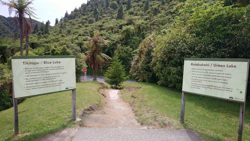 Tour du lac Bleu – Blue Lake (Tikitapu), Rotorua, Nouvelle-Zélande (photo 3)