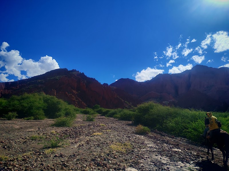 Tupiza à cheval : canyons de Palmira, Puerta del Diablo et Valle de los Machos – Tupiza, Bolivie (photo 3)