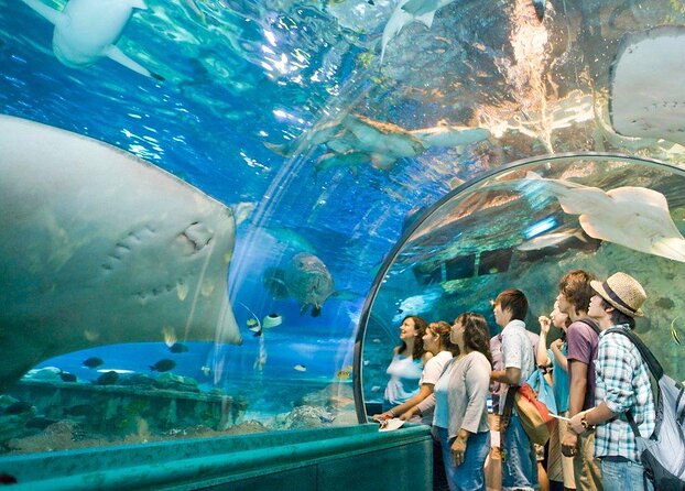 Underwater World Langkawi – Jalan Pantai Chenang, 07000 Langkawi, Kedah, Malaysia (photo 1)