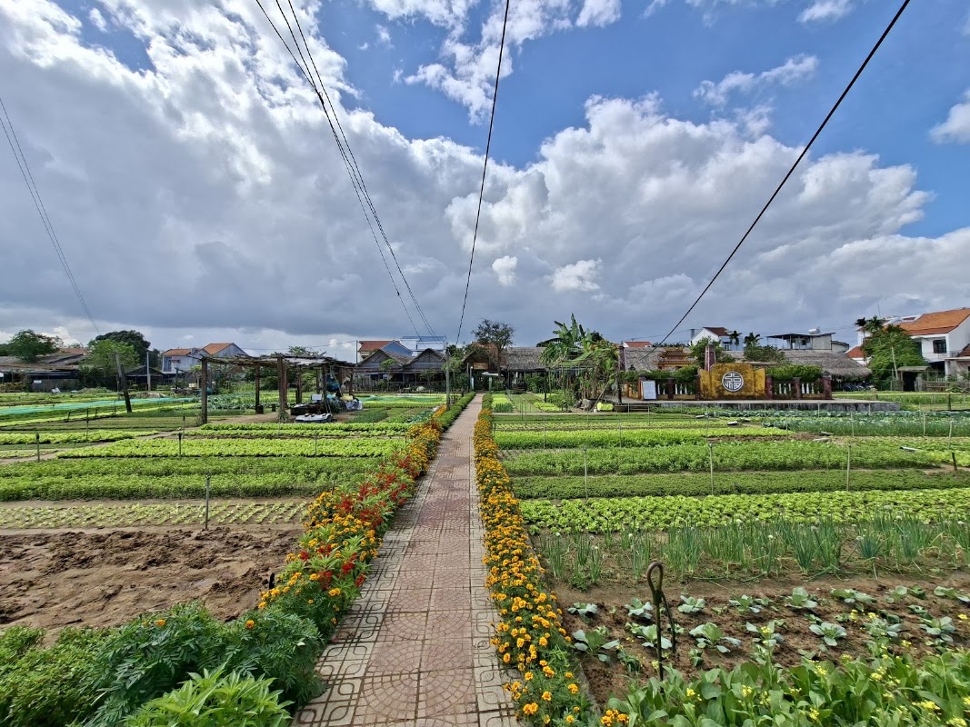 Village maraîcher de Trà Quế – Hội An, Đà Nẵng (photo 1)