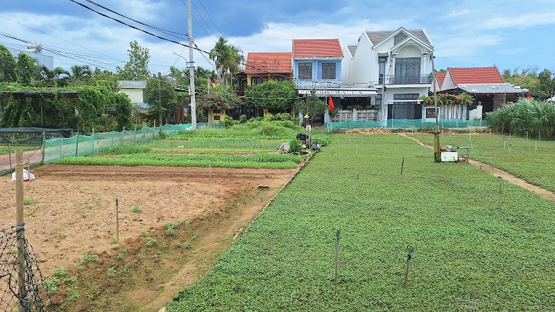 Village maraîcher de Trà Quế – Hội An, Đà Nẵng (photo 2)