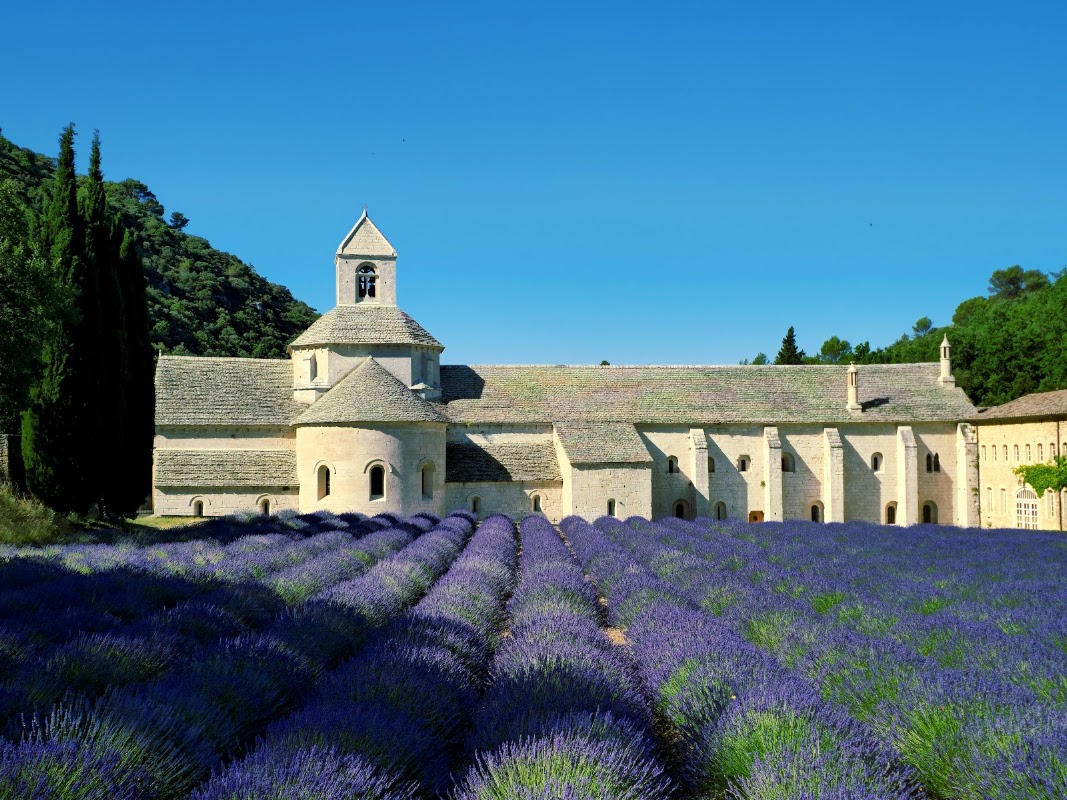 Visite guidée de l'abbaye de Sénanque – Abbaye Notre-Dame de Sénanque, 84220 Gordes (photo 1)