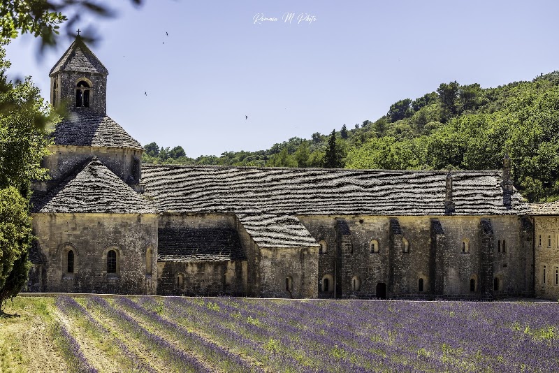 Visite guidée de l'abbaye de Sénanque – Abbaye Notre-Dame de Sénanque, 84220 Gordes (photo 2)