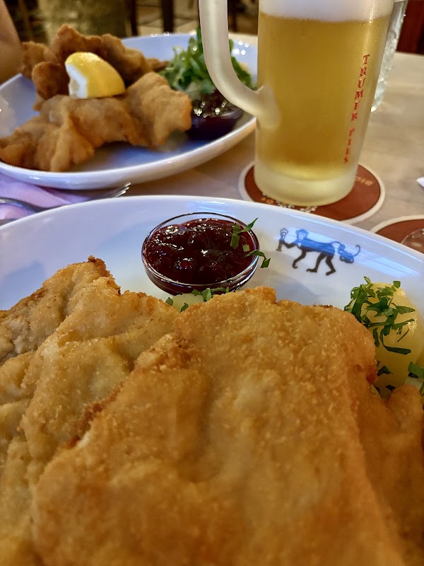 Zum fidelen Affen – Priesterhausgasse 8, 5020 Salzburg, Autriche (photo 3)