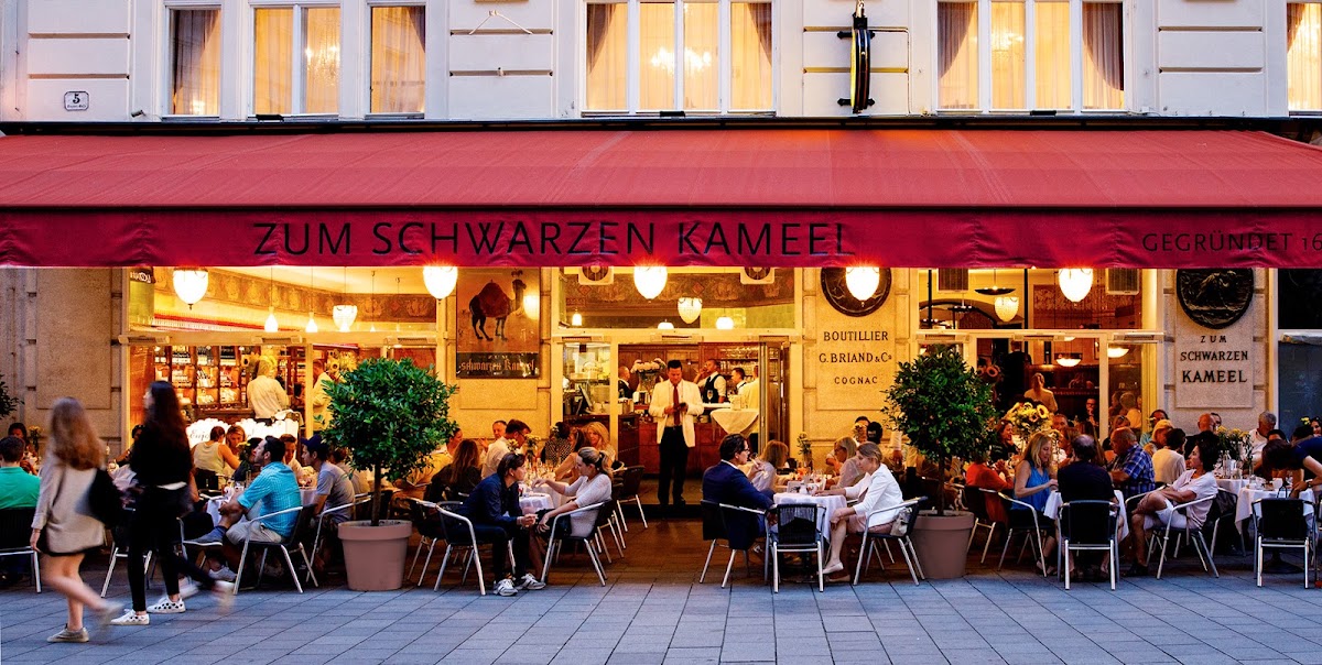 Zum Schwarzen Kameel – Bognergasse 5, 1010 Wien, Autriche (photo 1)