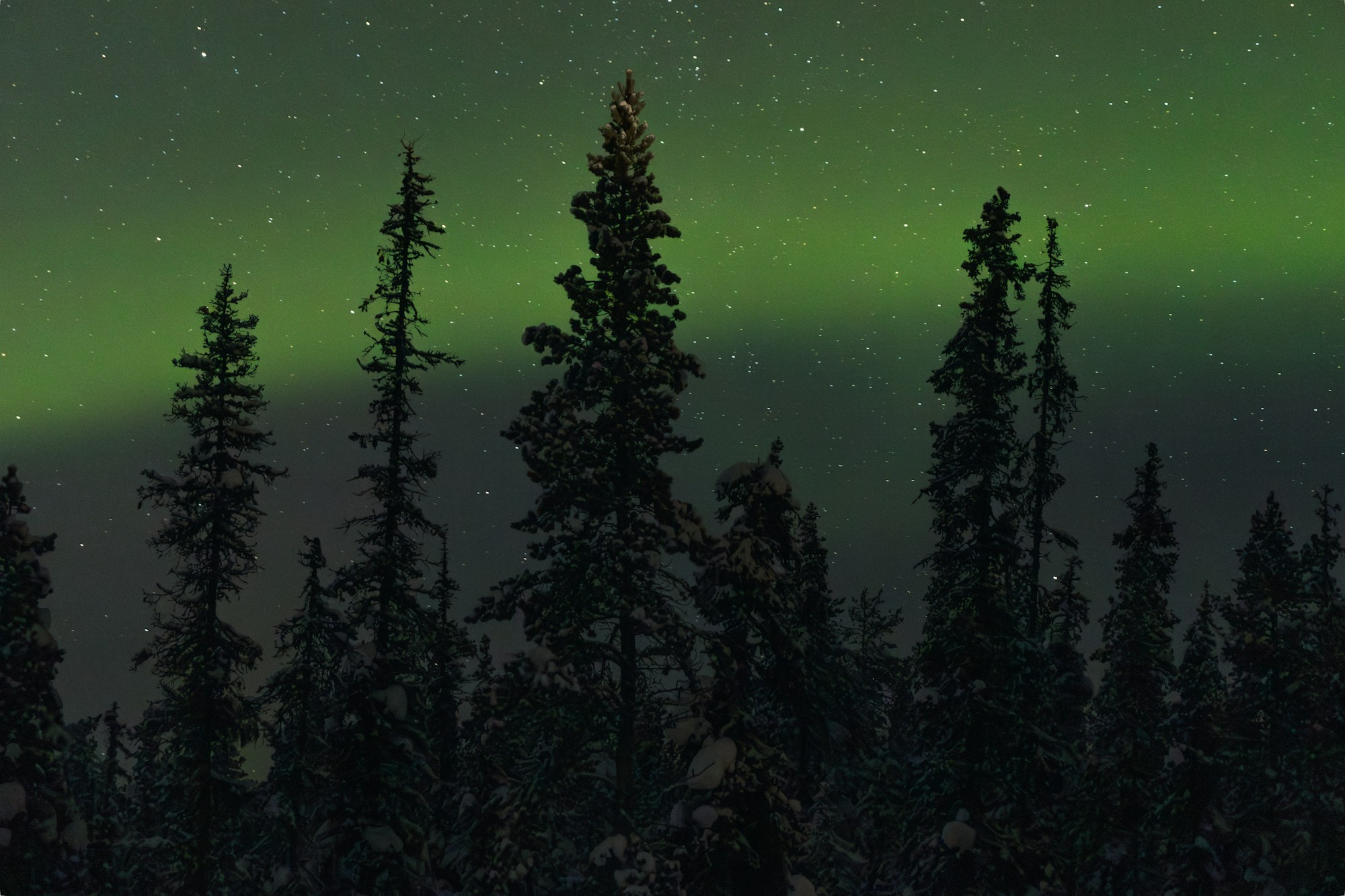 Aurora boreale verde sopra un paesaggio innevato