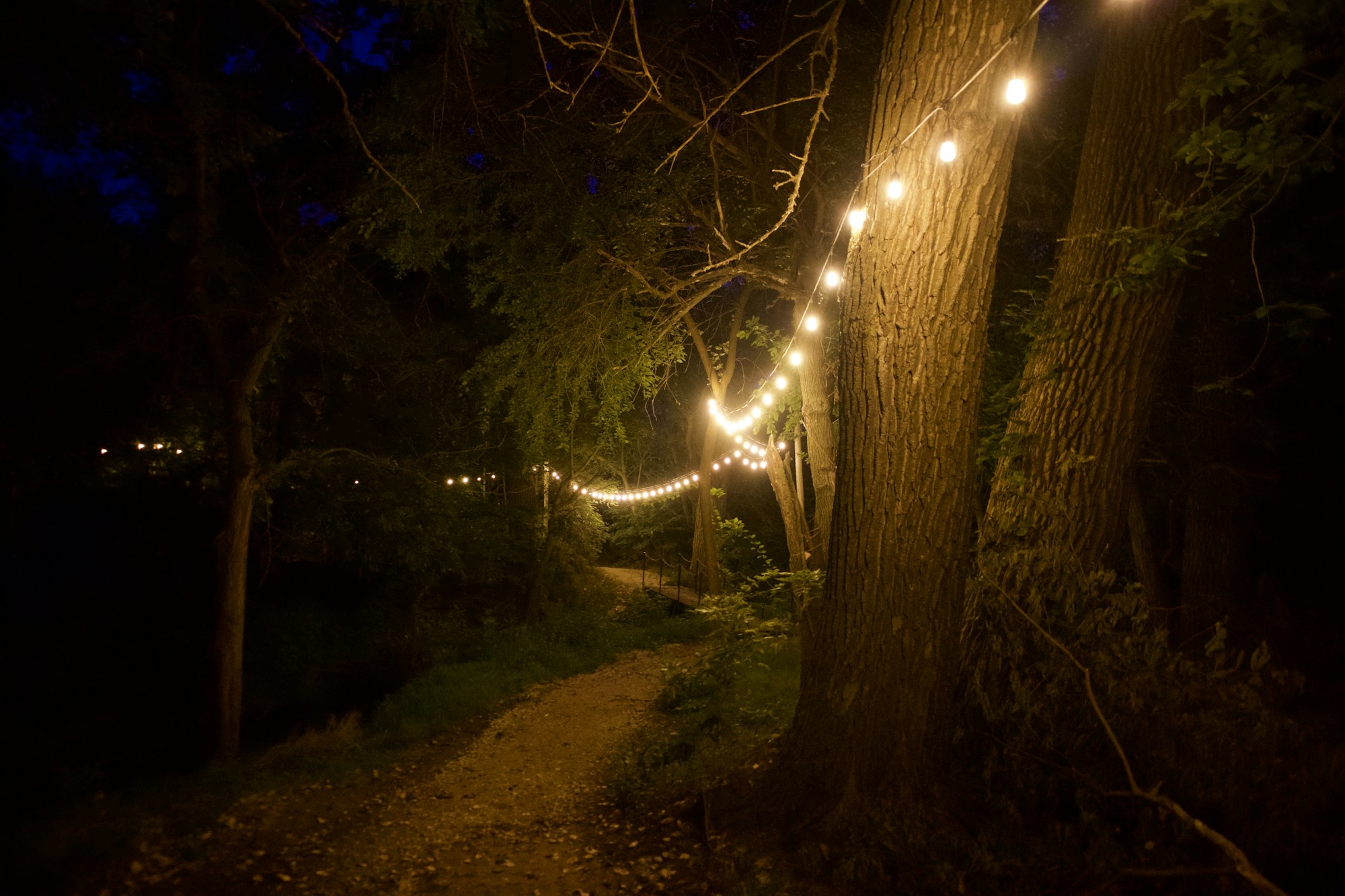 Guirnaldas luminosas a lo largo de un sendero de parque, de noche