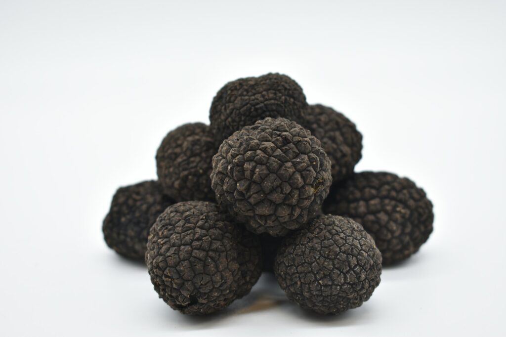 Truffes noires fraîches sur fond blanc