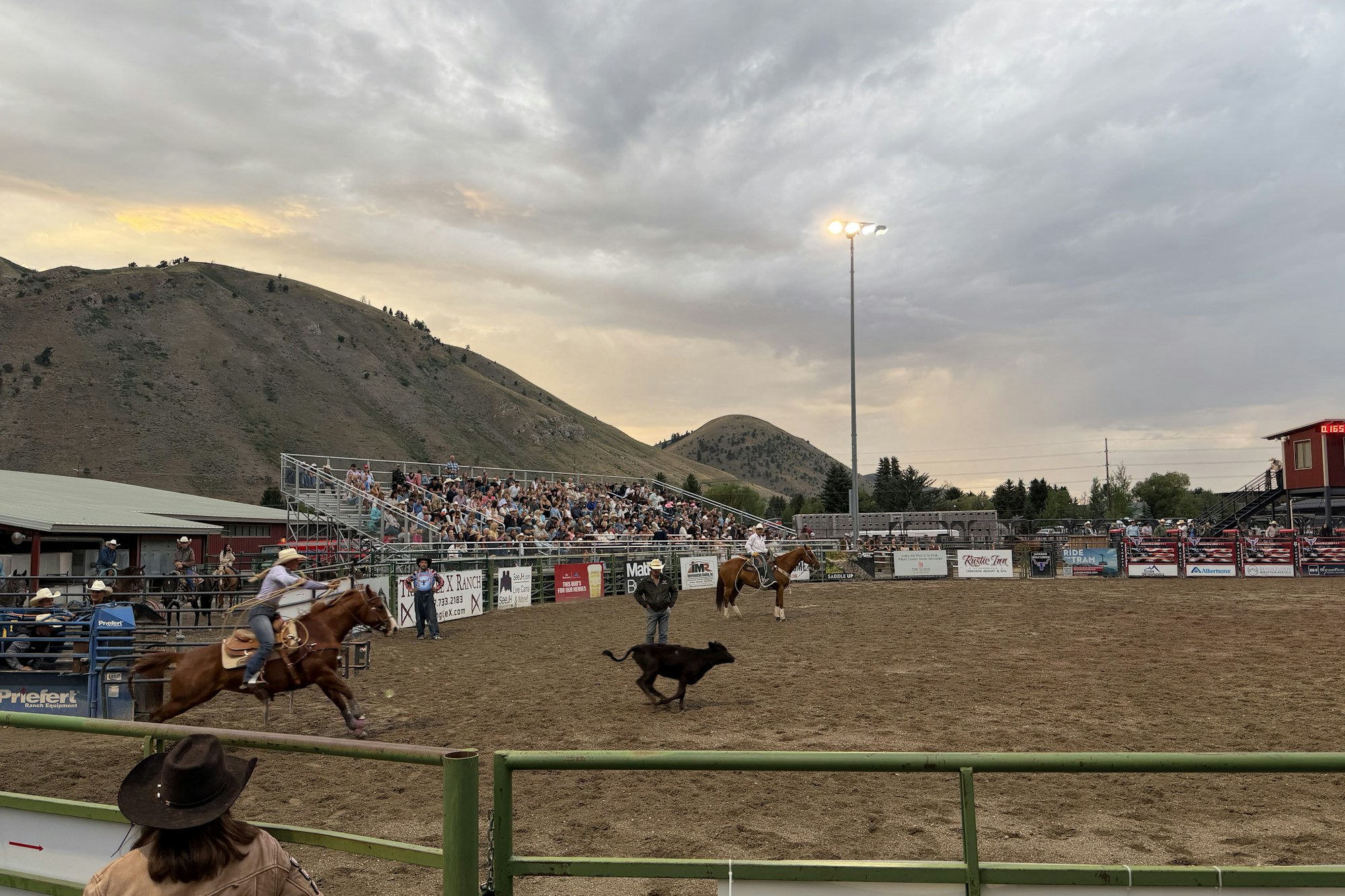 Cowboys à cheval poursuivant un veau dans une arène de rodéo
