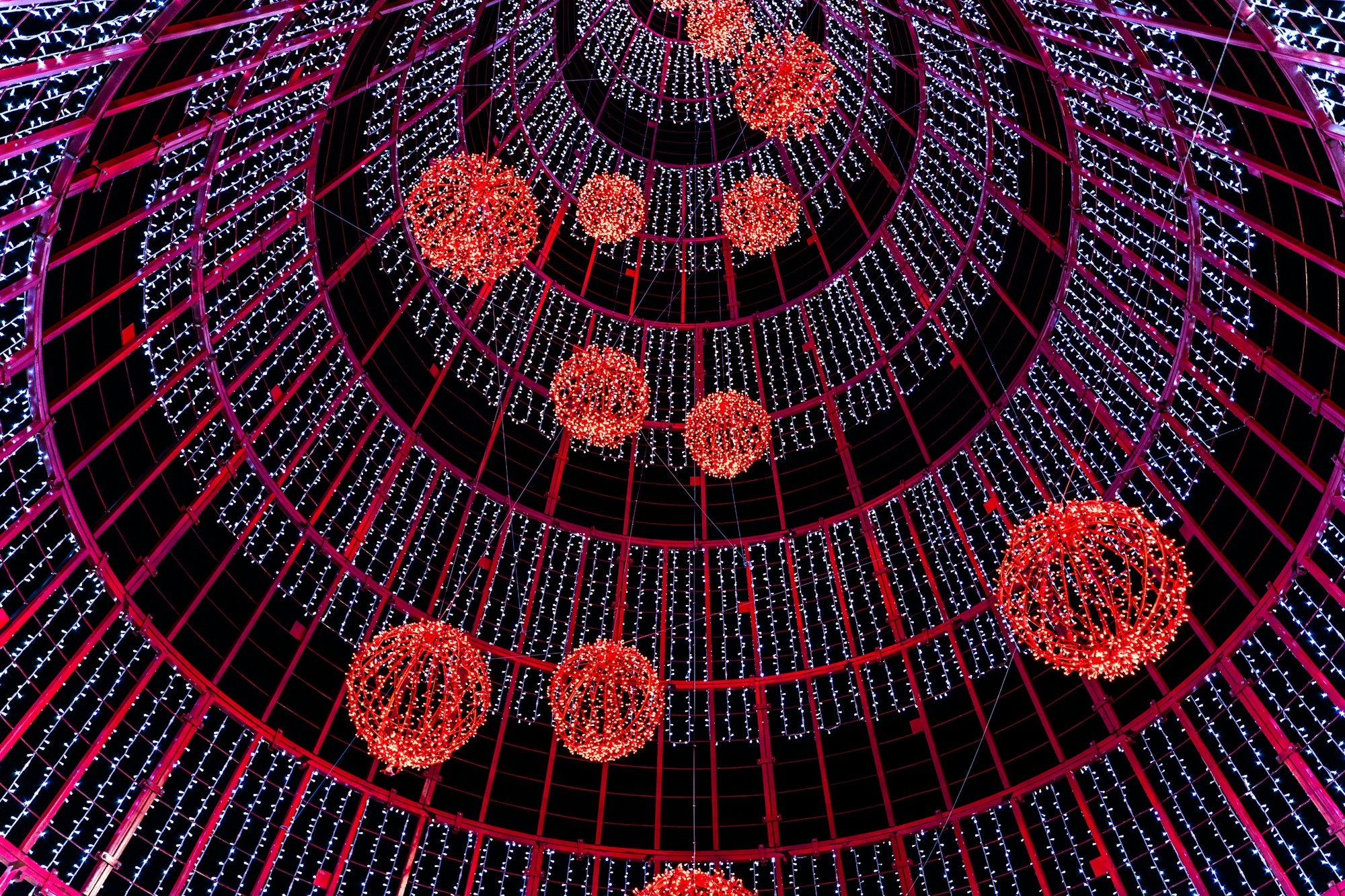 Ein großer Lichterbaum im Herzen der Hafenstadt Funchal