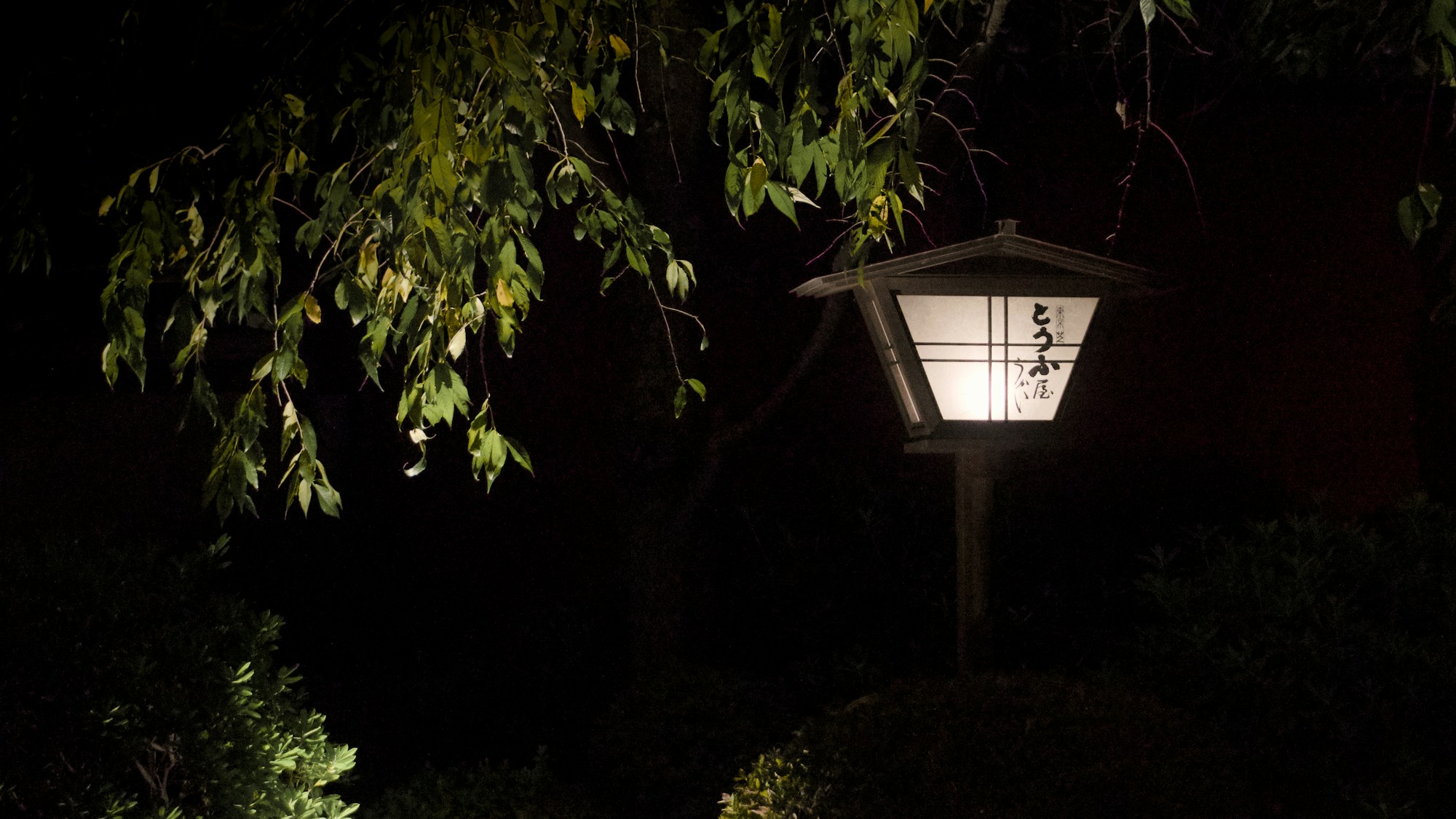 Insegne al neon e lanterne in un quartiere a tema giapponese