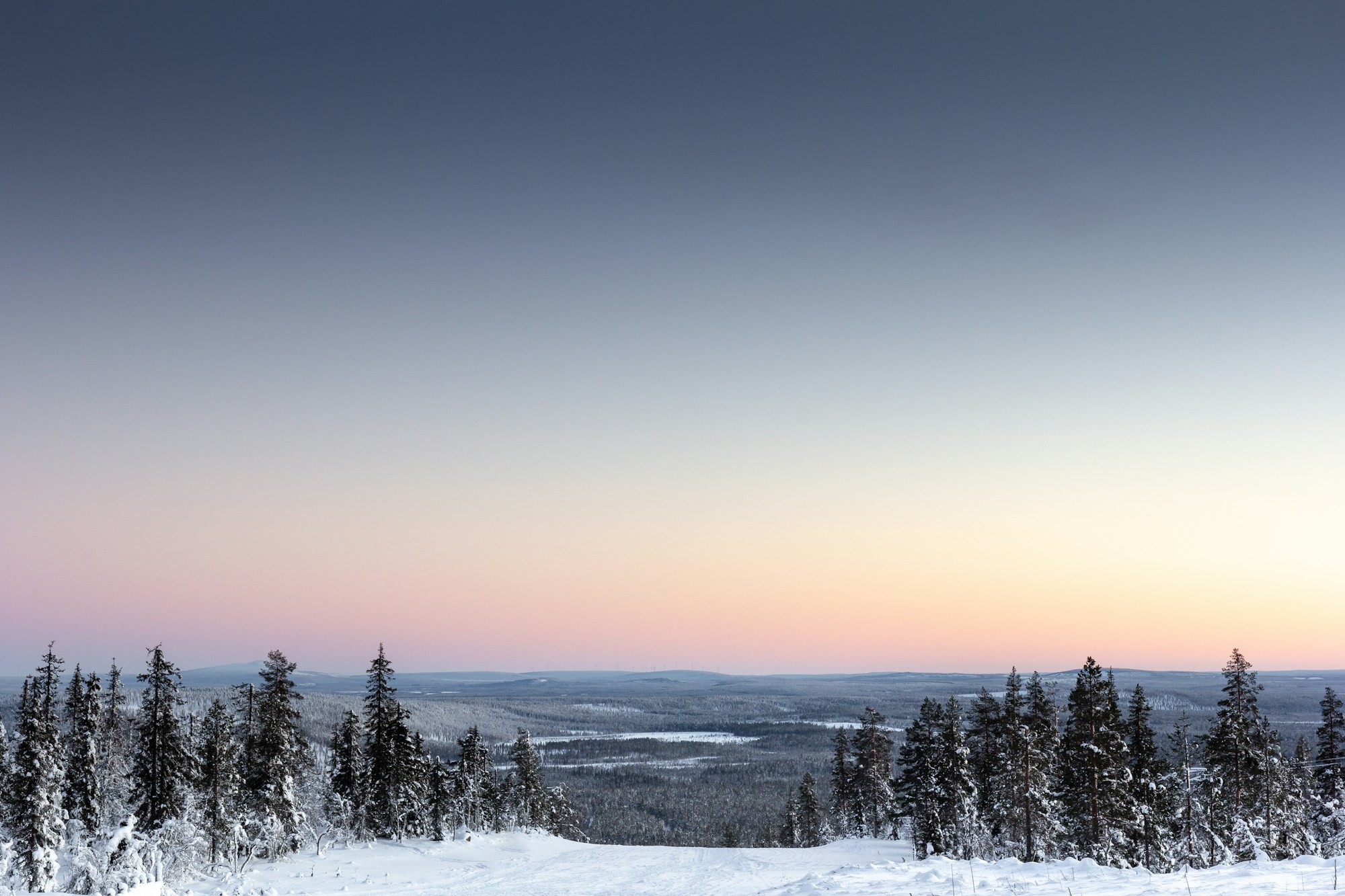 Bosque nevado en la Laponia finlandesa, accesible por la nueva ruta Orly-Kajaani
