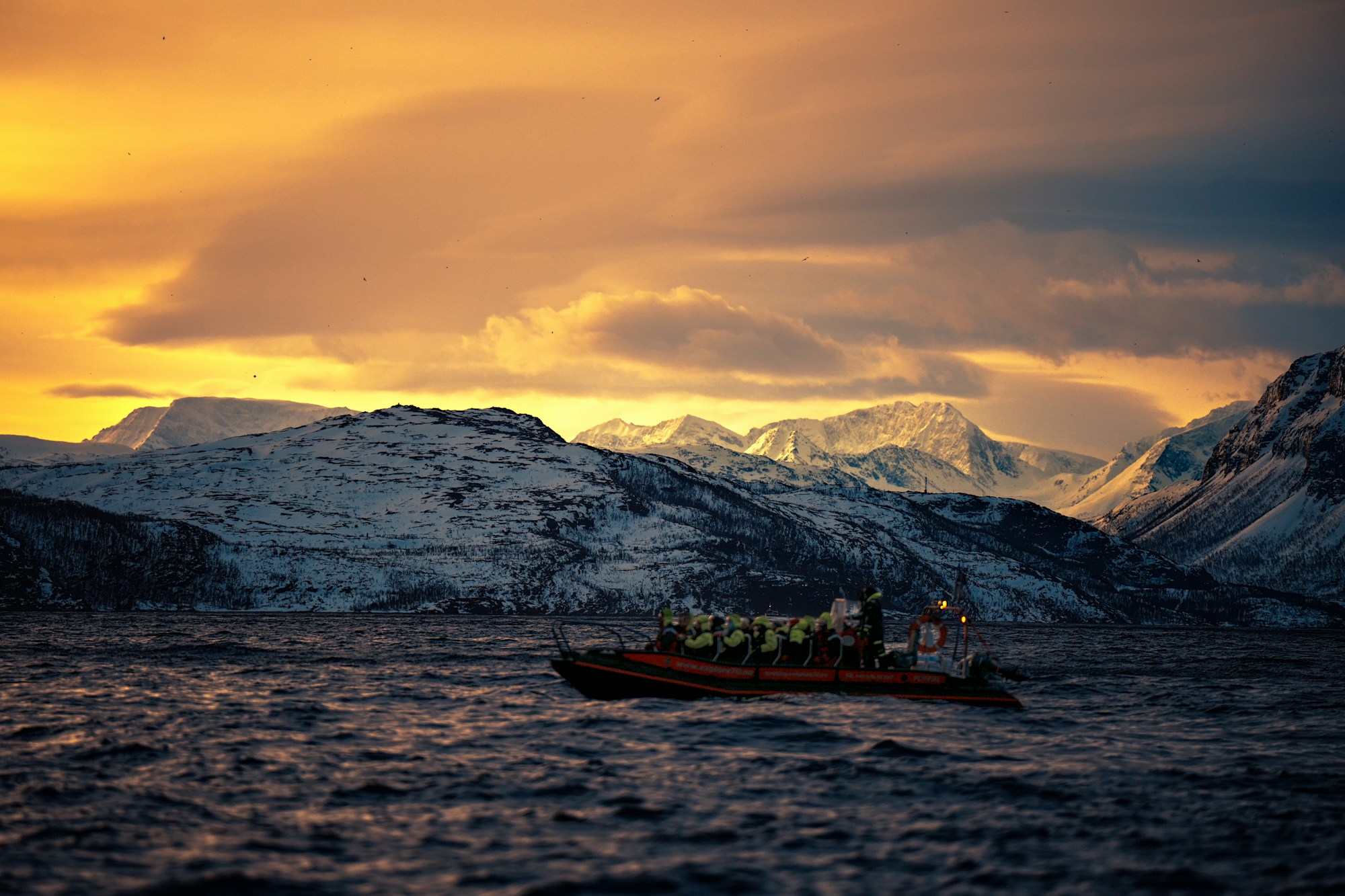 Beobachtungsboot für Wale auf einem Fjord im Norden Norwegens, vor schneebedeckten Bergen bei Sonnenuntergang