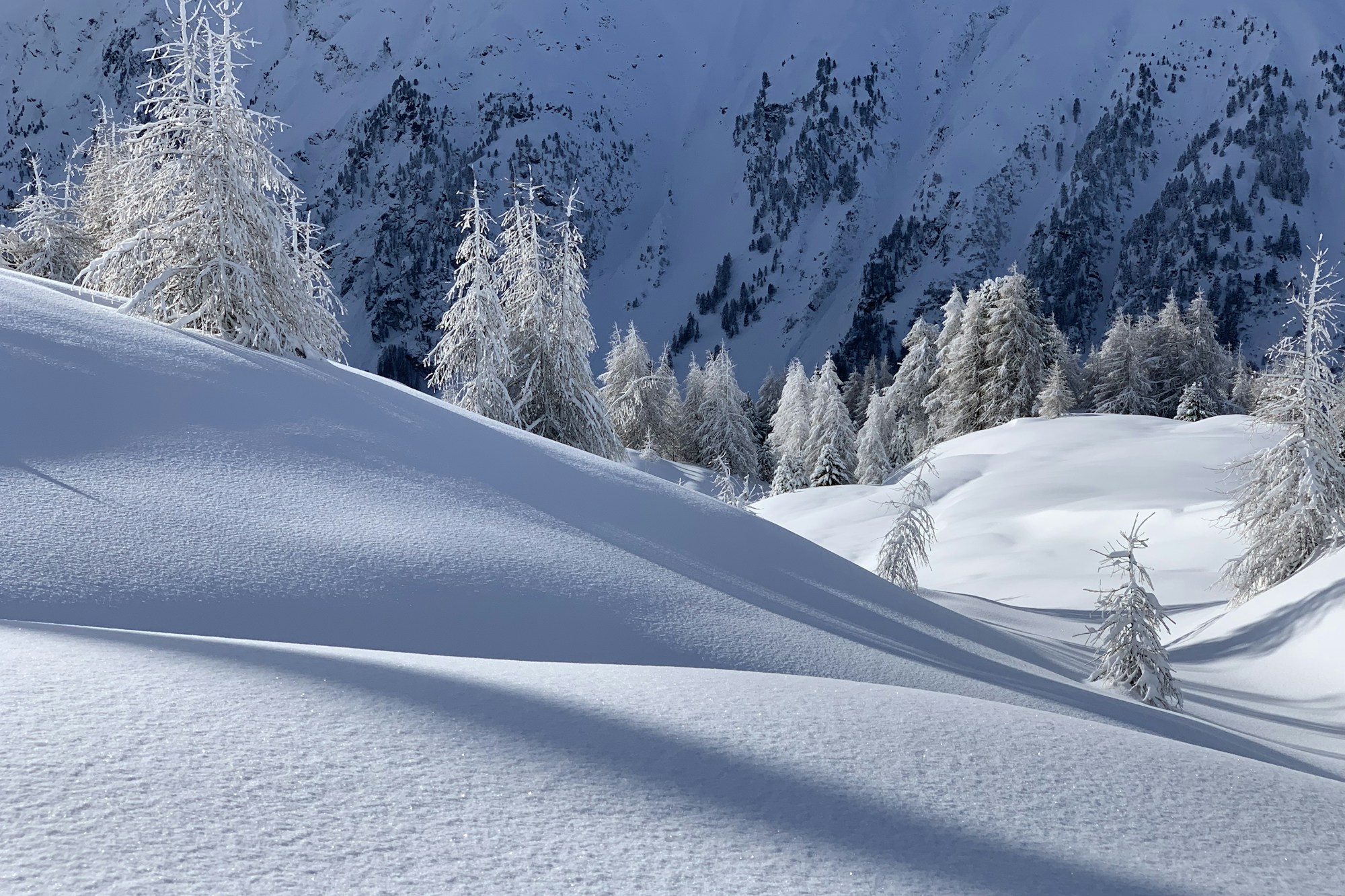 Snowy slopes and frosted larches above Ischgl, in the Paznaun valley