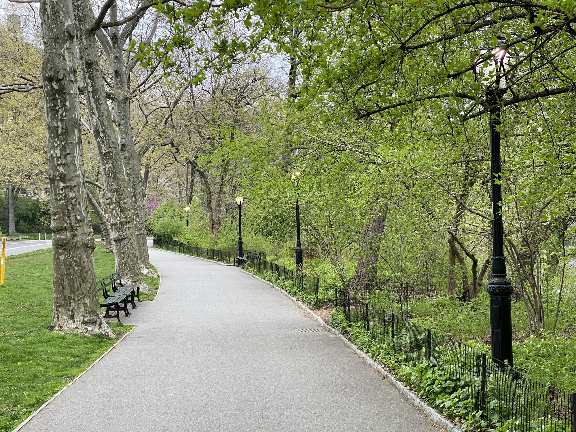Shaded path in Central Park, near Central Park South