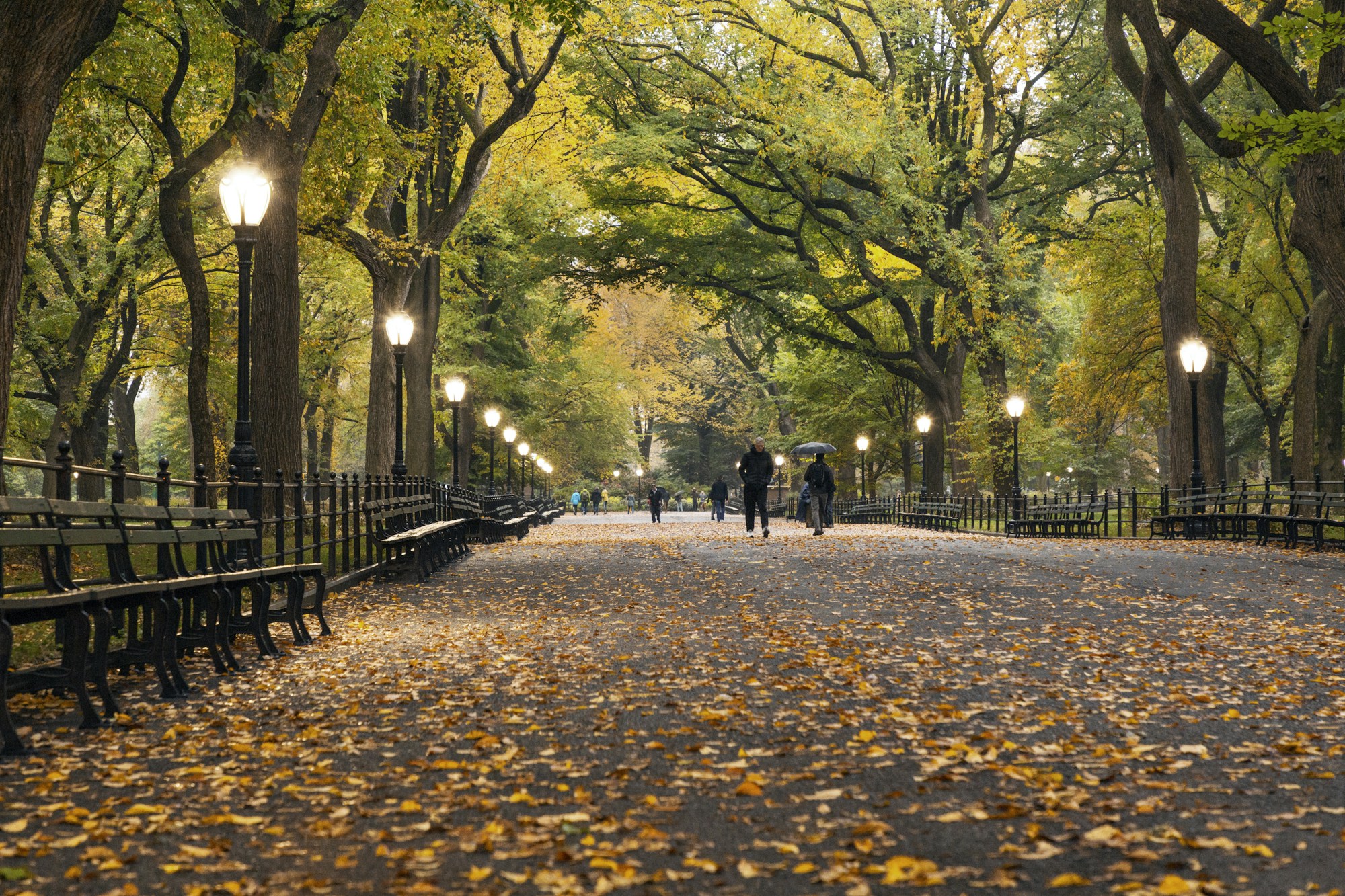 Central Park paths in autumn colors