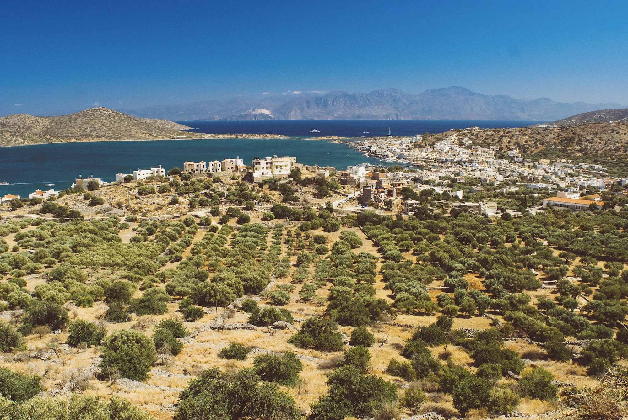 Oliveti e mare a Creta