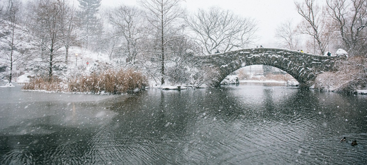 Central Park en hiver