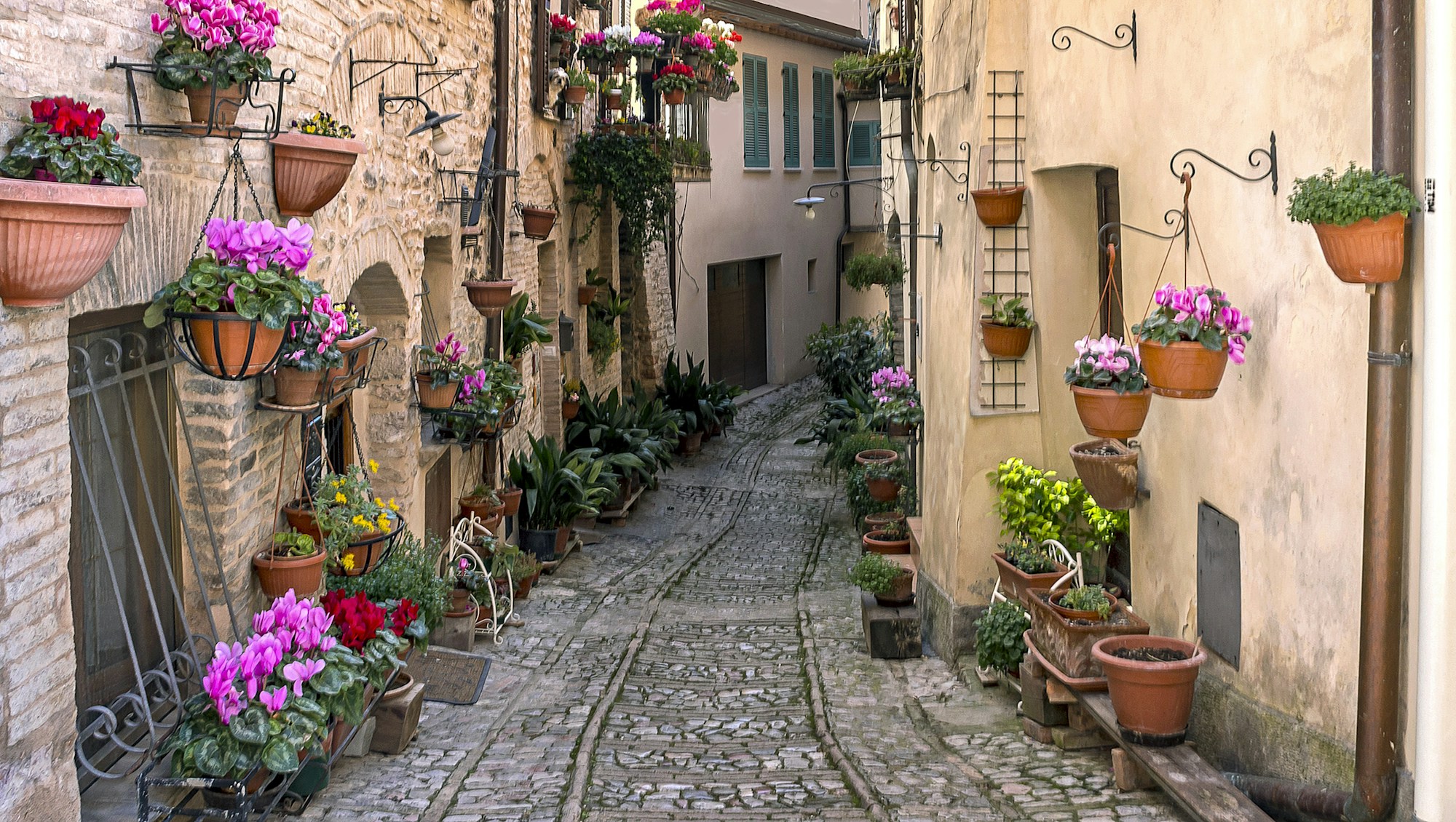 Passaggio fiorito in una città medievale dell'Umbria, a Spello