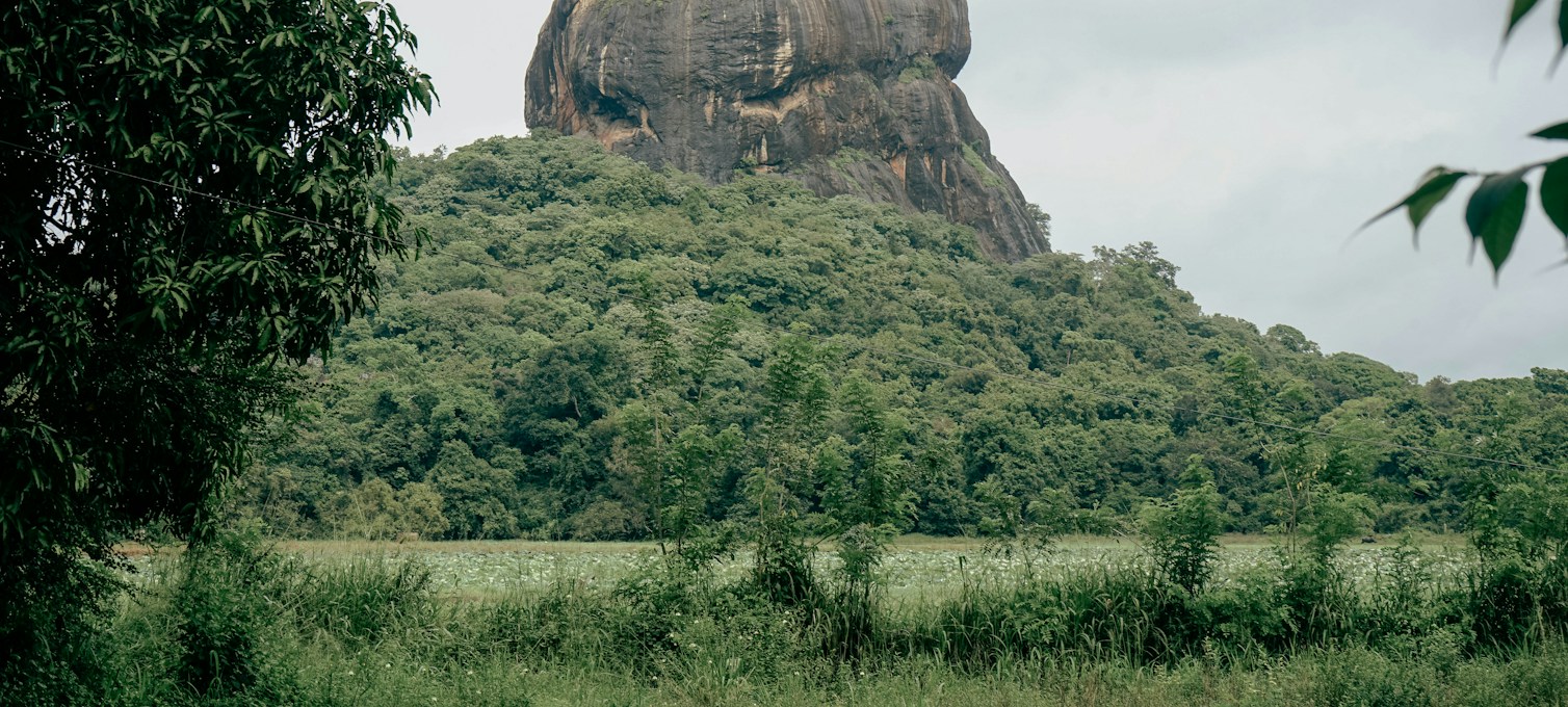 Le rocher de Sigiriya au milieu de la jungle