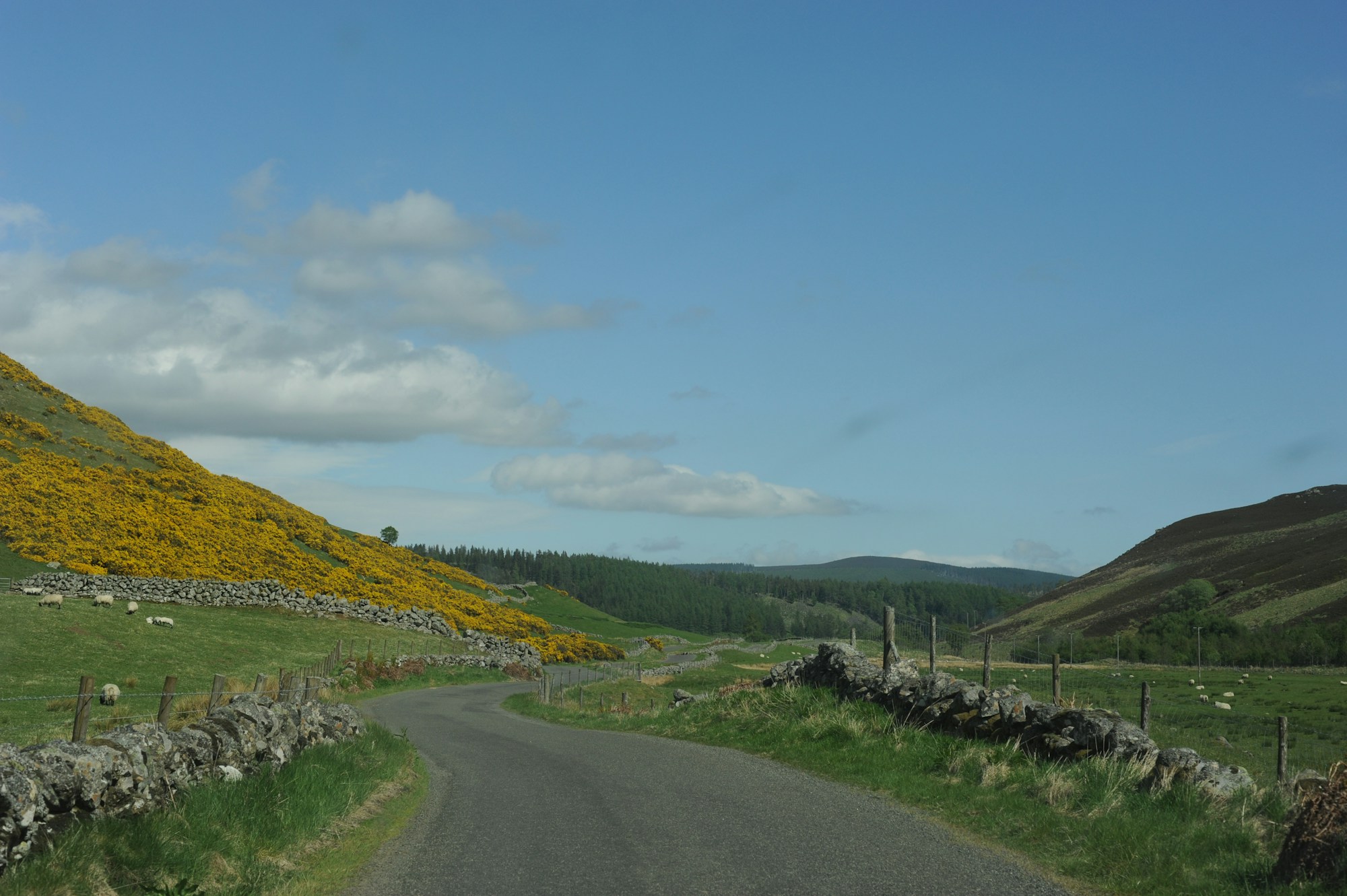 Carretera rural de los Scottish Borders bordeada de colinas verdes