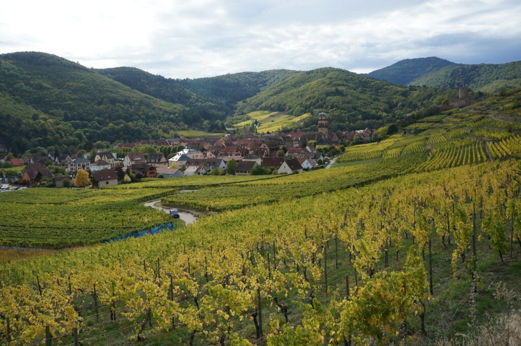 Château français entouré de vignobles, paysage oenotouristique