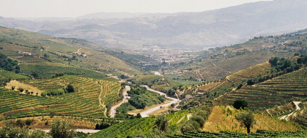 Terraced vineyards above the Douro River