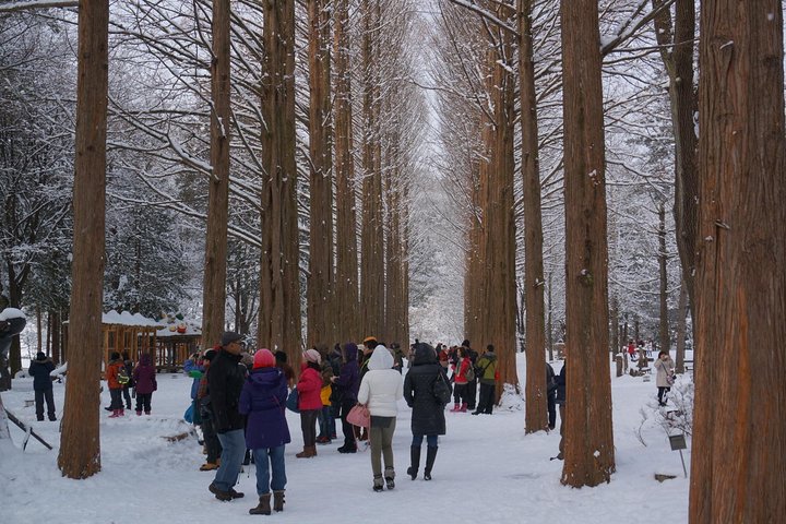 Photo from the Viator listing for the private Nami Island and Petite France tour
