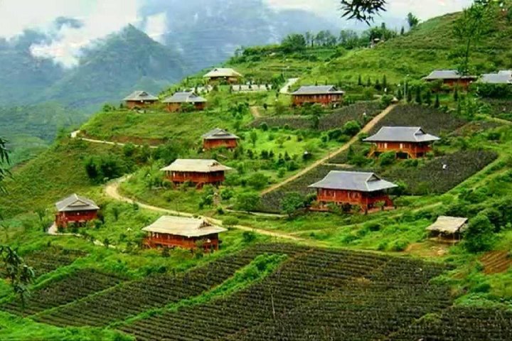 Rice terraces near Sapa