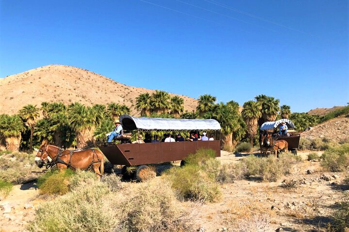 Covered wagon pulled by mules in the desert