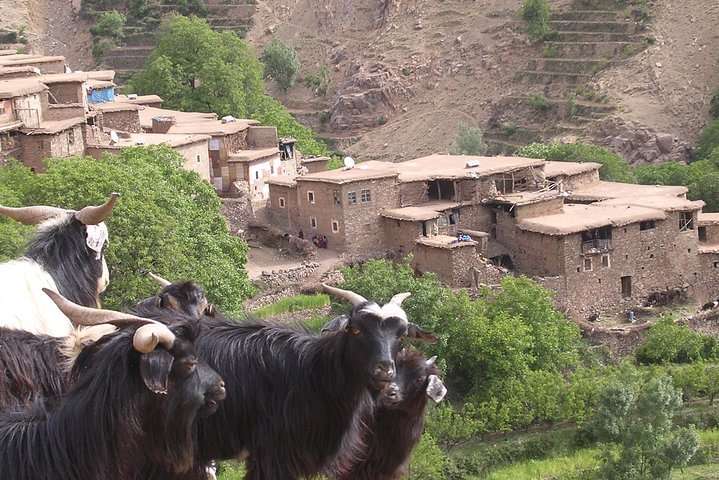 Walkers on a path through a Berber village in the High Atlas